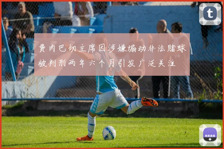 费内巴切主席因涉嫌煽动非法赌球被判刑两年六个月引发广泛关注