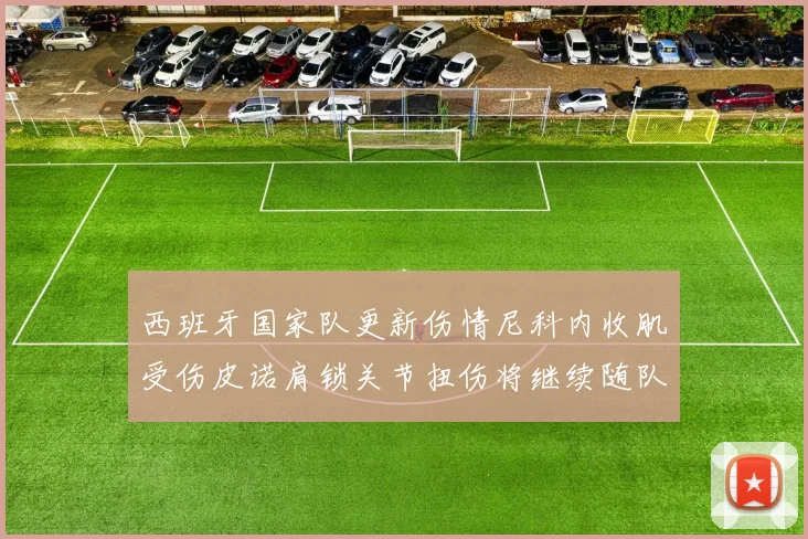 西班牙国家队更新伤情尼科内收肌受伤皮诺肩锁关节扭伤将继续随队训练