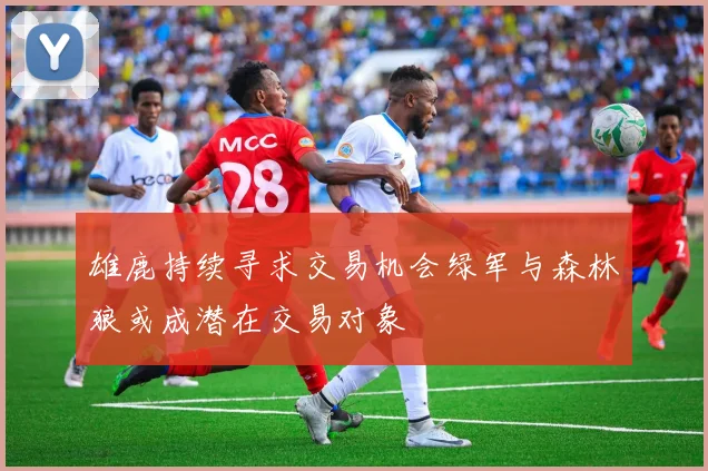 雄鹿持续寻求交易机会绿军与森林狼或成潜在交易对象